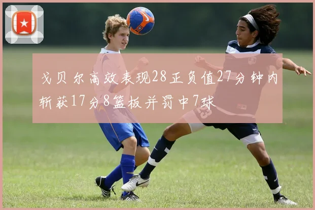 戈贝尔高效表现28正负值27分钟内斩获17分8篮板并罚中7球